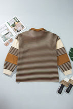 Brown Stripe Colorblock Detail Collar V Neck Plus Size Long Sleeve Top
