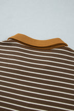 Brown Stripe Colorblock Detail Collar V Neck Plus Size Long Sleeve Top